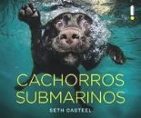 Cachorros Submarinos